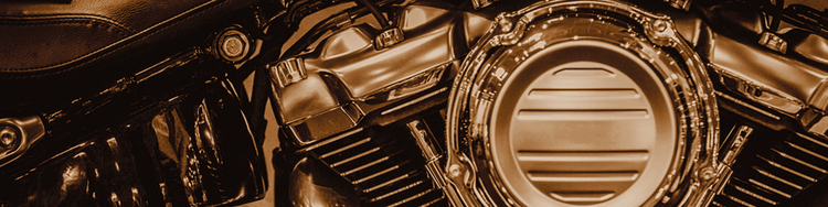 HOG WASH BRAND: V-TWIN